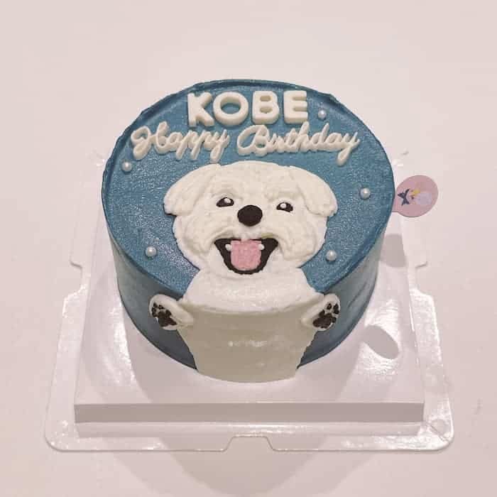 Nella Kharisma avatar